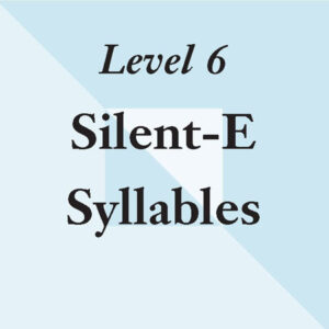 Level 6: Six Reasons for Silent-E - Site License